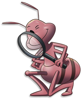 What-we-ant